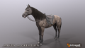 HorseImage01.png